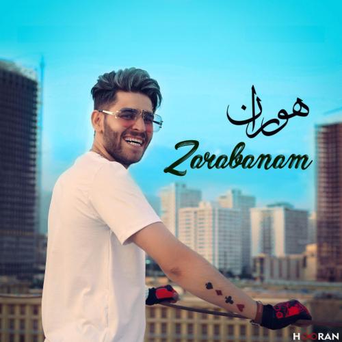 دانلود آهنگ ضربانم